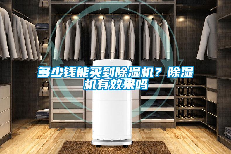 多少錢能買到除濕機？除濕機有效果嗎