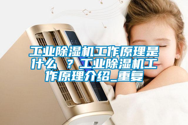 工業(yè)除濕機(jī)工作原理是什么 ？工業(yè)除濕機(jī)工作原理介紹_重復(fù)