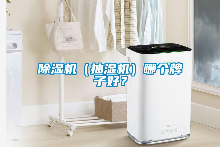 除濕機(jī)（抽濕機(jī)）哪個(gè)牌子好？