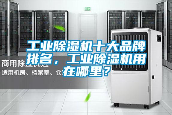 工業(yè)除濕機(jī)十大品牌排名，工業(yè)除濕機(jī)用在哪里？