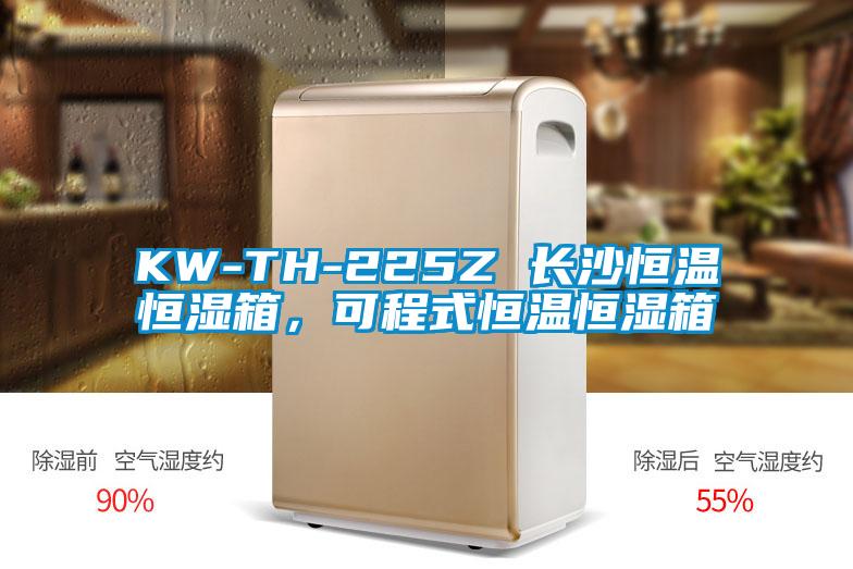 KW-TH-225Z 長沙恒溫恒濕箱，可程式恒溫恒濕箱