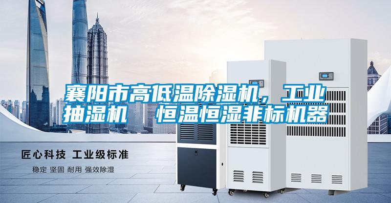 襄陽市高低溫除濕機，工業(yè)抽濕機  恒溫恒濕非標機器