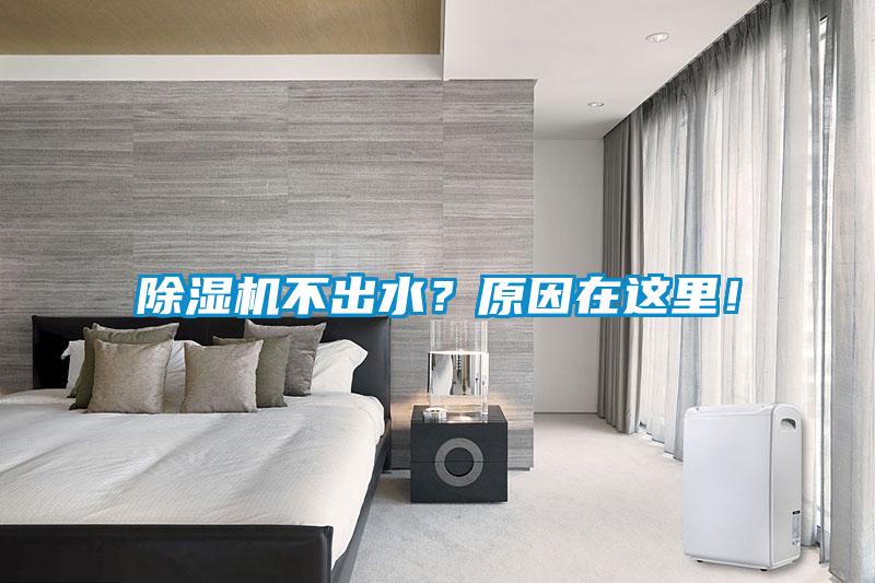 除濕機不出水？原因在這里！