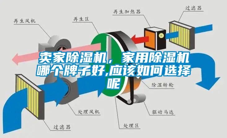 賣家除濕機，家用除濕機哪個牌子好,應該如何選擇呢