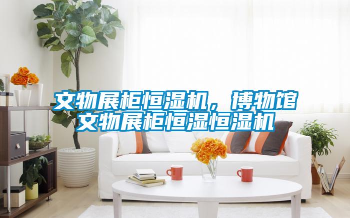 文物展柜恒濕機，博物館文物展柜恒濕恒濕機