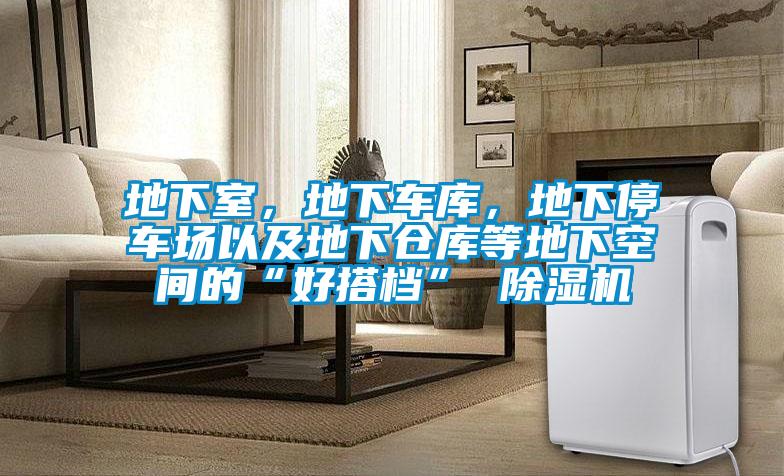 地下室，地下車庫(kù)，地下停車場(chǎng)以及地下倉(cāng)庫(kù)等地下空間的“好搭檔” 除濕機(jī)