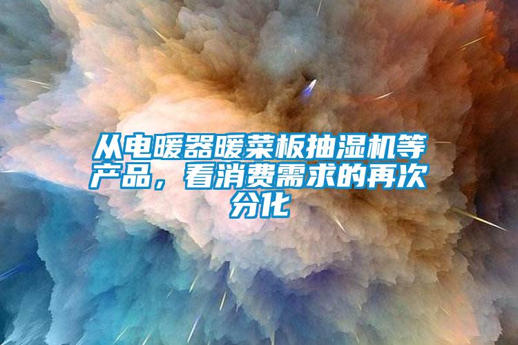 從電暖器暖菜板抽濕機(jī)等產(chǎn)品，看消費(fèi)需求的再次分化