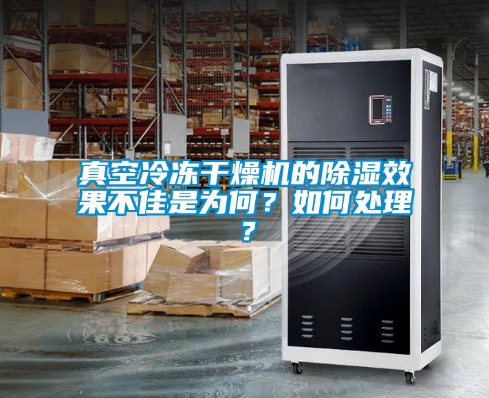真空冷凍干燥機的除濕效果不佳是為何？如何處理？