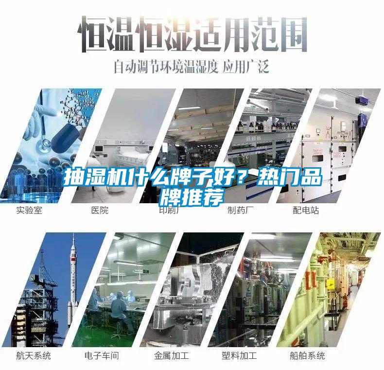 抽濕機(jī)什么牌子好？熱門品牌推薦