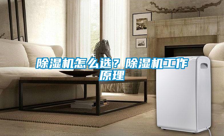 除濕機(jī)怎么選？除濕機(jī)工作原理