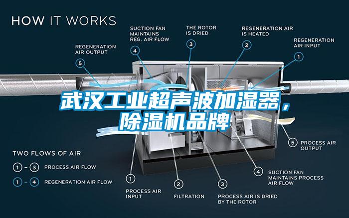 武漢工業(yè)超聲波加濕器，除濕機品牌