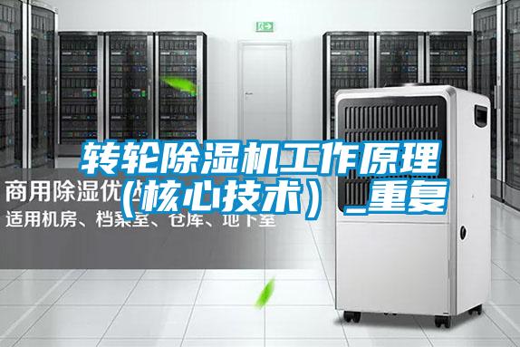 轉(zhuǎn)輪除濕機工作原理（核心技術(shù)）_重復(fù)