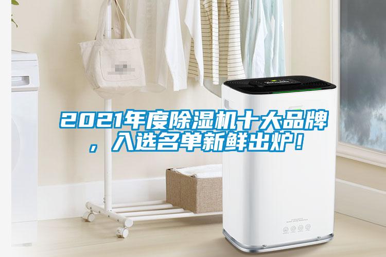 2021年度除濕機(jī)十大品牌，入選名單新鮮出爐！
