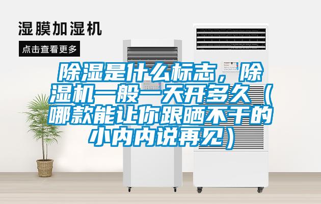 除濕是什么標(biāo)志，除濕機(jī)一般一天開多久（哪款能讓你跟曬不干的小內(nèi)內(nèi)說(shuō)再見）