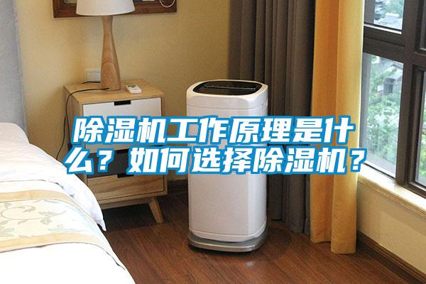 除濕機工作原理是什么？如何選擇除濕機？