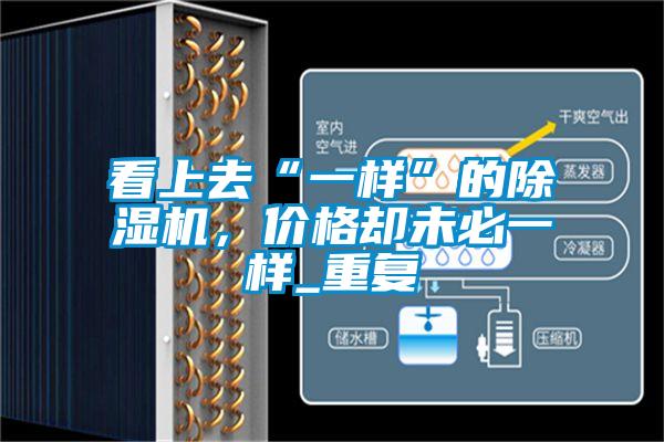 看上去“一樣”的除濕機，價格卻未必一樣_重復