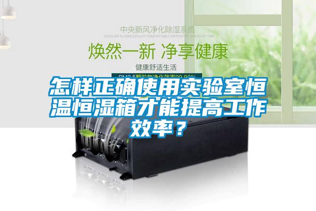 怎樣正確使用實(shí)驗(yàn)室恒溫恒濕箱才能提高工作效率？