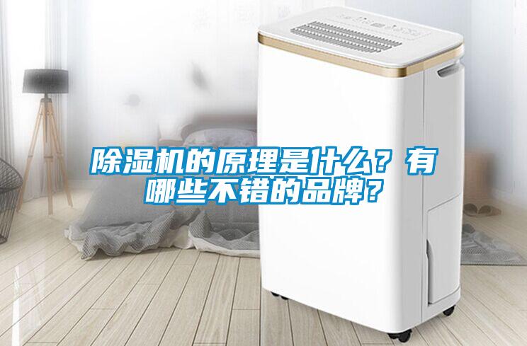 除濕機(jī)的原理是什么？有哪些不錯的品牌？