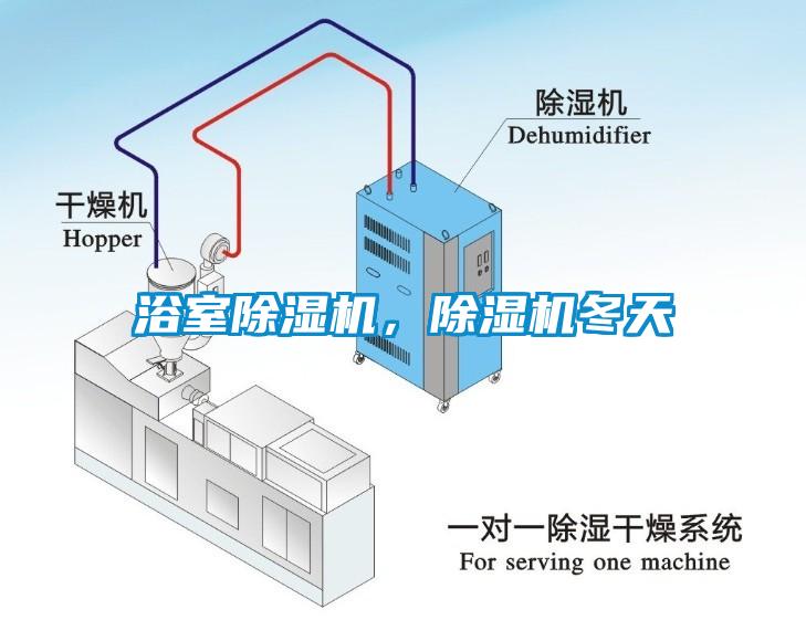 浴室除濕機，除濕機冬天