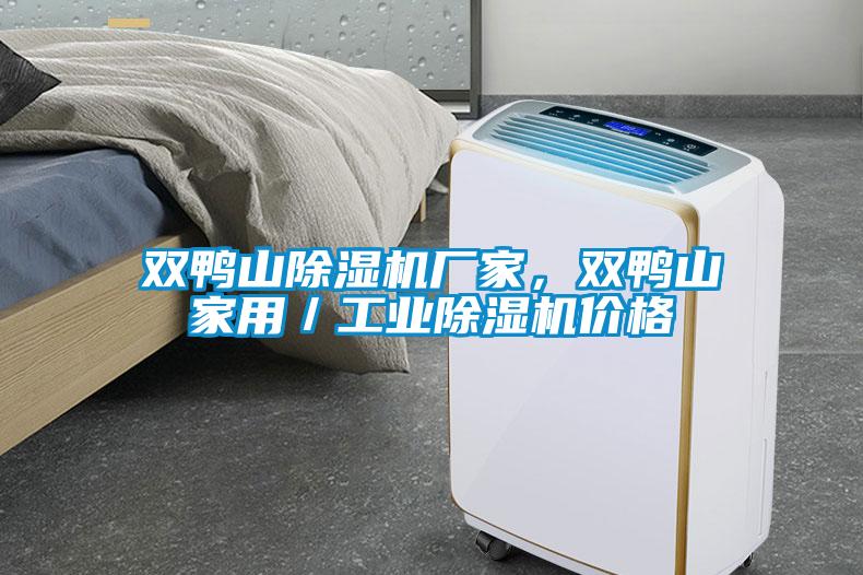 雙鴨山除濕機(jī)廠(chǎng)家，雙鴨山家用／工業(yè)除濕機(jī)價(jià)格