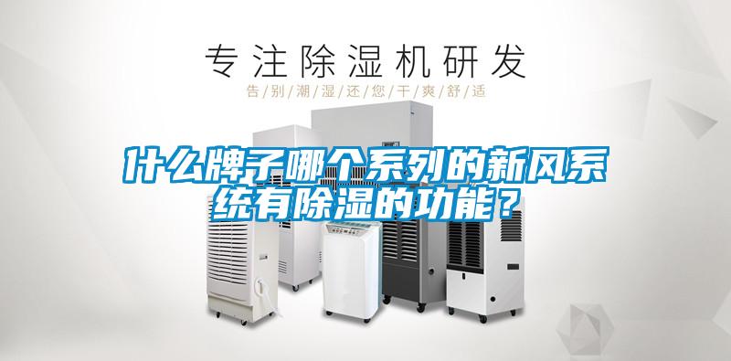 什么牌子哪個(gè)系列的新風(fēng)系統(tǒng)有除濕的功能？