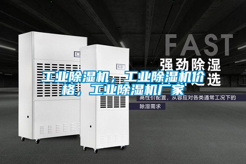 工業(yè)除濕機，工業(yè)除濕機價格，工業(yè)除濕機廠家