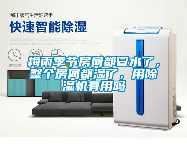 梅雨季節(jié)房間都冒水了，整個房間都濕了，用除濕機有用嗎