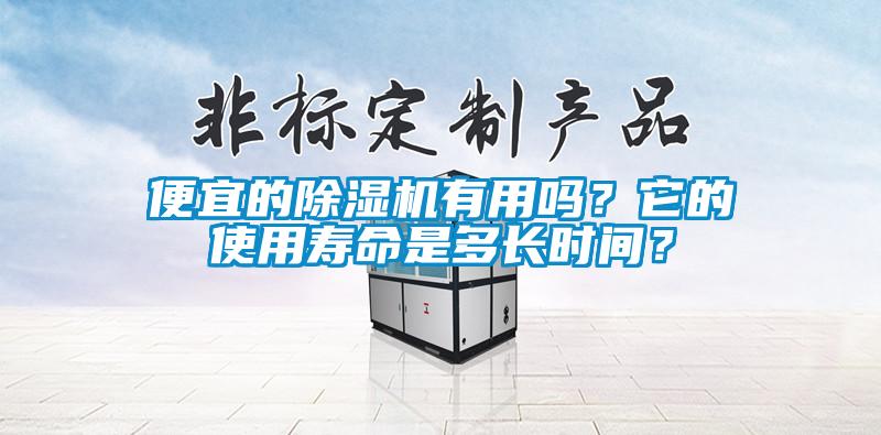 便宜的除濕機(jī)有用嗎？它的使用壽命是多長(zhǎng)時(shí)間？