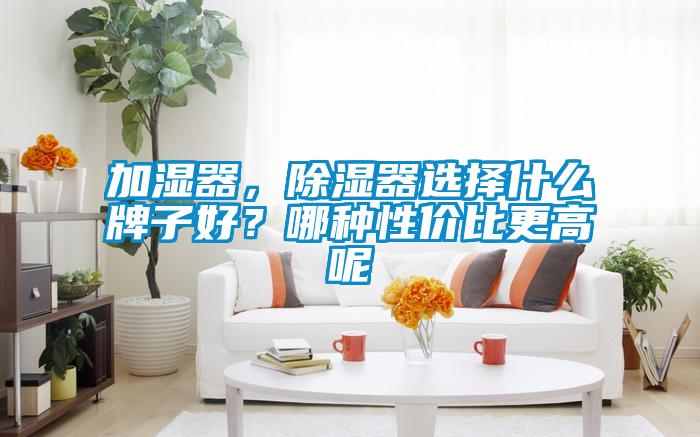 加濕器，除濕器選擇什么牌子好？哪種性價(jià)比更高呢