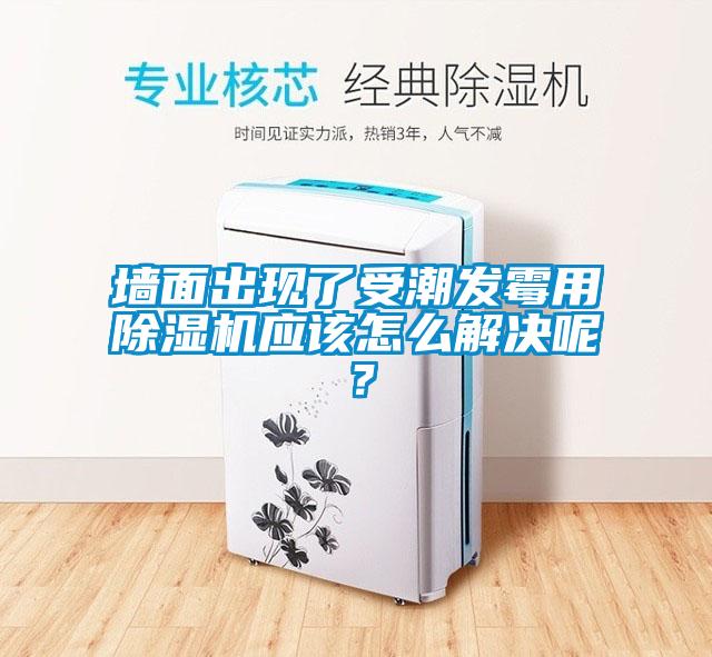 墻面出現了受潮發(fā)霉用除濕機應該怎么解決呢？