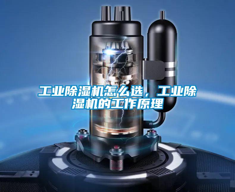 工業(yè)除濕機(jī)怎么選，工業(yè)除濕機(jī)的工作原理