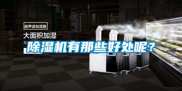 除濕機有那些好處呢？