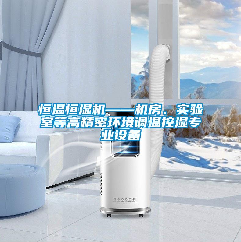 恒溫恒濕機(jī)——機(jī)房、實(shí)驗(yàn)室等高精密環(huán)境調(diào)溫控濕專業(yè)設(shè)備