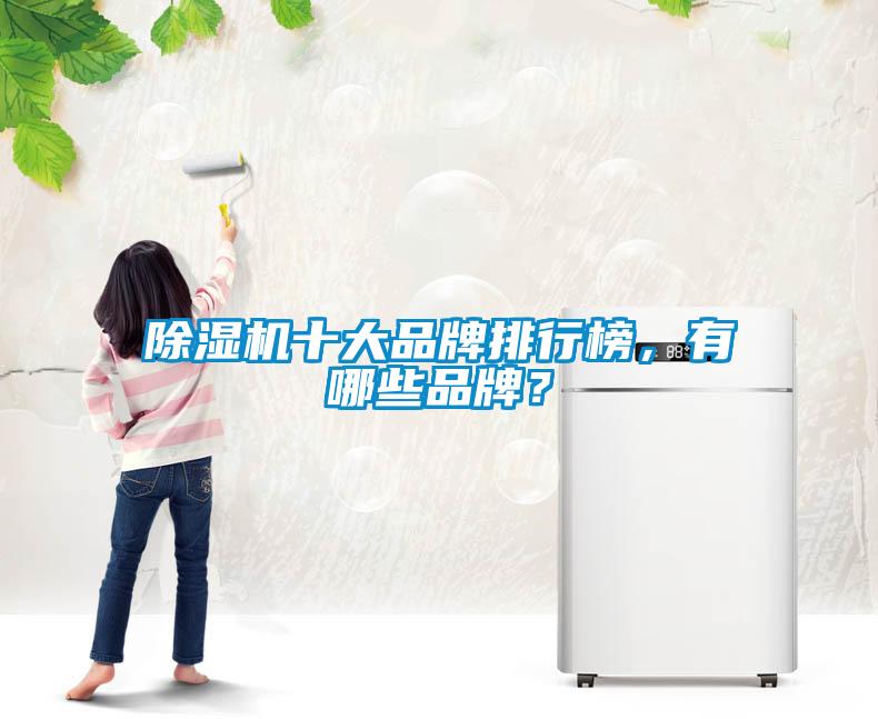 除濕機(jī)十大品牌排行榜，有哪些品牌？