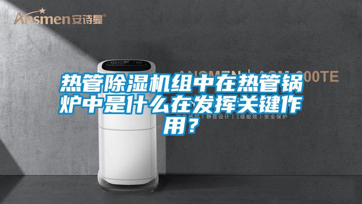 熱管除濕機組中在熱管鍋爐中是什么在發(fā)揮關鍵作用？