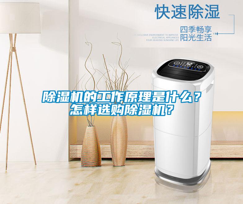 除濕機(jī)的工作原理是什么？怎樣選購(gòu)除濕機(jī)？
