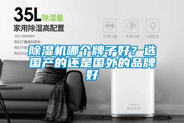 除濕機(jī)哪個牌子好？選國產(chǎn)的還是國外的品牌好