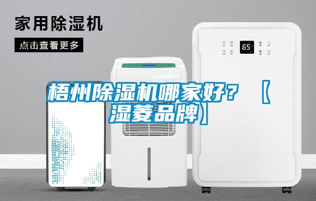 梧州除濕機(jī)哪家好？【濕菱品牌】
