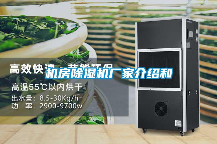 機(jī)房除濕機(jī)廠(chǎng)家介紹和