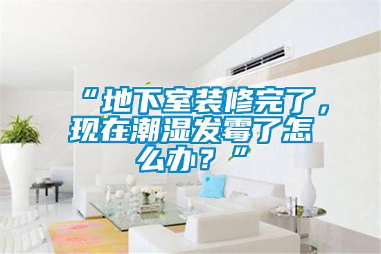 “地下室裝修完了，現(xiàn)在潮濕發(fā)霉了怎么辦？”