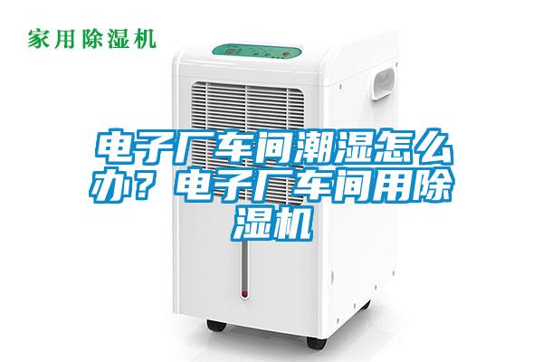 電子廠車間潮濕怎么辦？電子廠車間用除濕機
