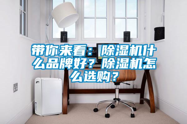帶你來看：除濕機什么品牌好？除濕機怎么選購？