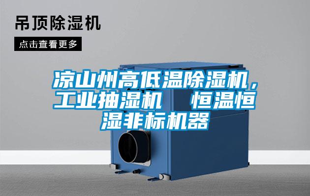 涼山州高低溫除濕機，工業(yè)抽濕機  恒溫恒濕非標機器