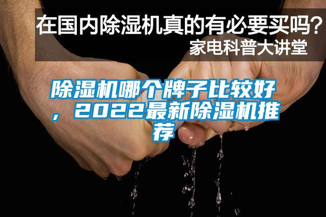 除濕機哪個牌子比較好，2022最新除濕機推薦