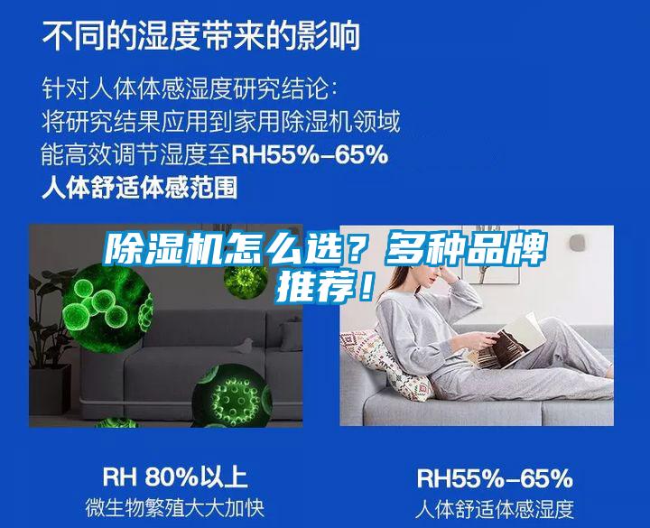 除濕機怎么選？多種品牌推薦！