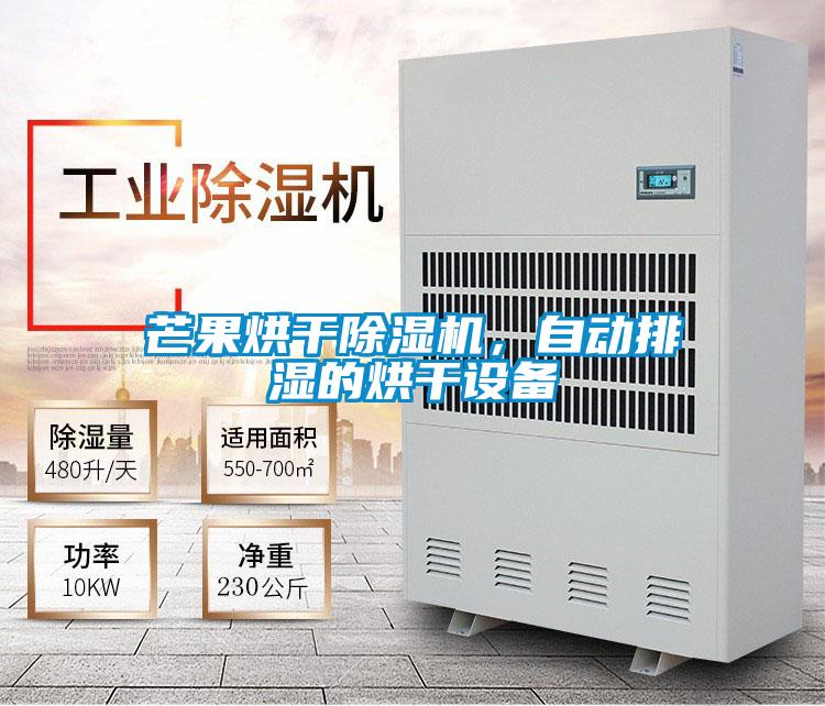芒果烘干除濕機(jī)，自動排濕的烘干設(shè)備
