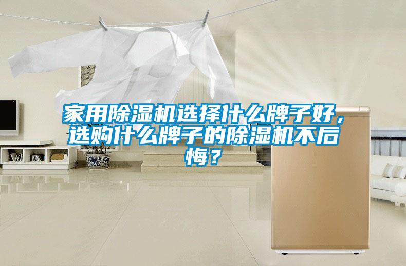 家用除濕機(jī)選擇什么牌子好，選購什么牌子的除濕機(jī)不后悔？