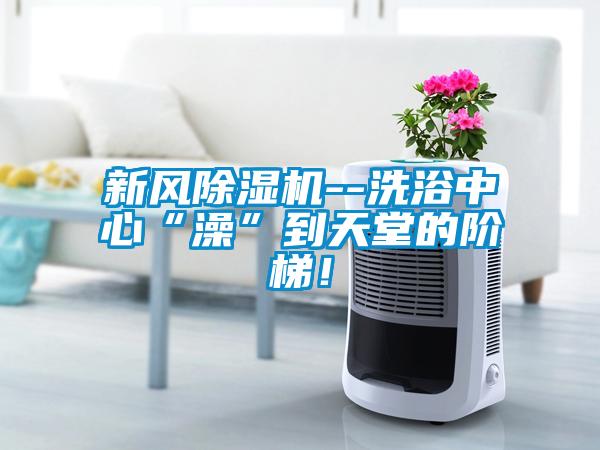 新風除濕機--洗浴中心“澡”到天堂的階梯！