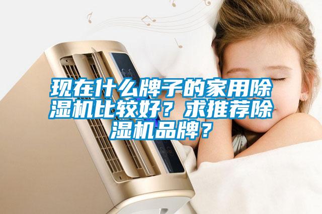 現(xiàn)在什么牌子的家用除濕機比較好？求推薦除濕機品牌？