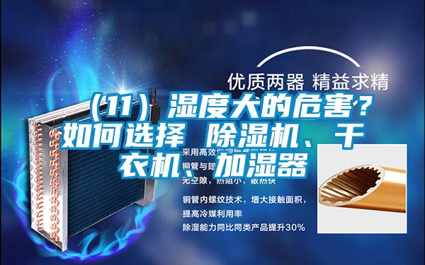 （11）濕度大的危害？如何選擇 除濕機、干衣機、加濕器